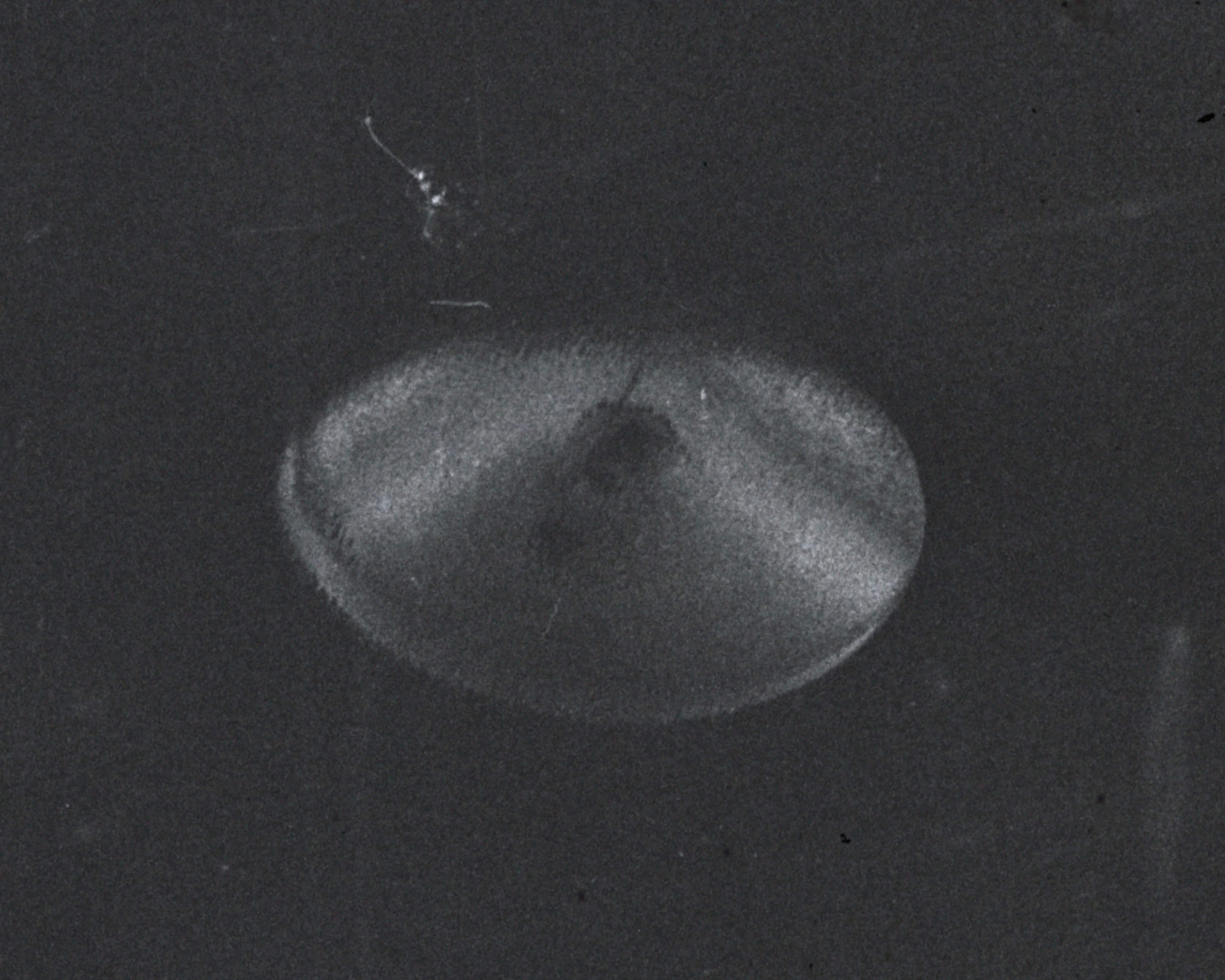 Close-up detail of the disc-shaped object from the 2022 Heidelberg Tango drum scan of the original negative.